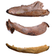 Illustration for article titled Jaws are very ancient, and possibly unnecessary